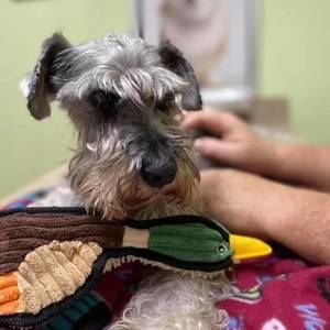 Meet your Posher, Doug